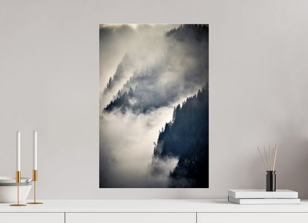 40 x 60 cm, Photo Print Under Acrylic Glass Steep Valley Trees