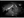 Main image Fleeting Glimpse