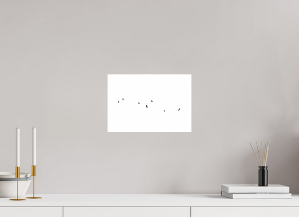 30 x 20 cm, Unframed Fuji Crystal DPII Black Crows #1