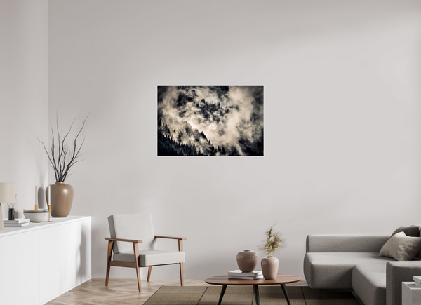 105 x 70 cm, Photo Print Under Acrylic Glass Klosters Forest #1