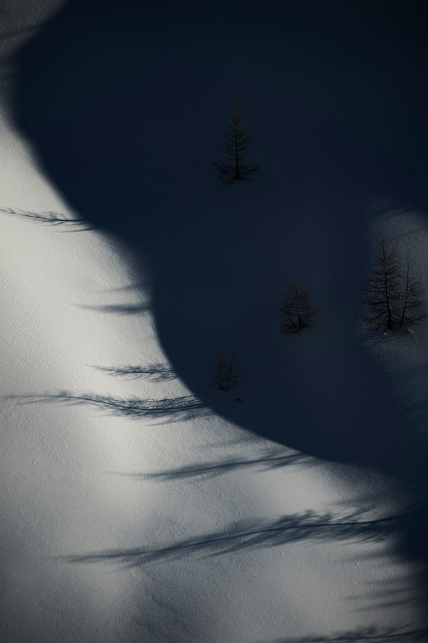 Shadows #2