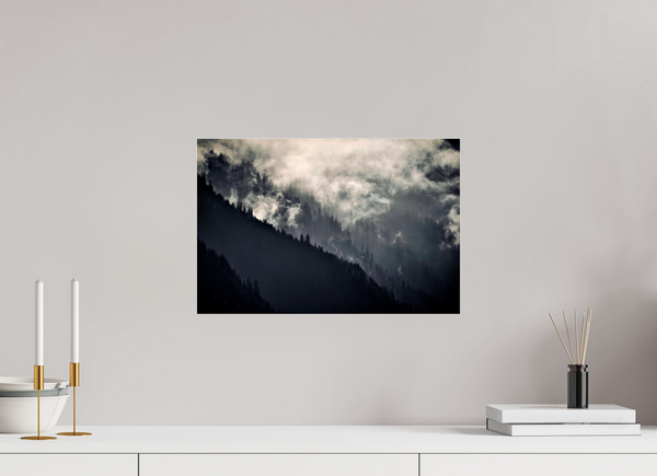 45 x 30 cm, Photo Print Under Acrylic Glass Klosters Forest #2