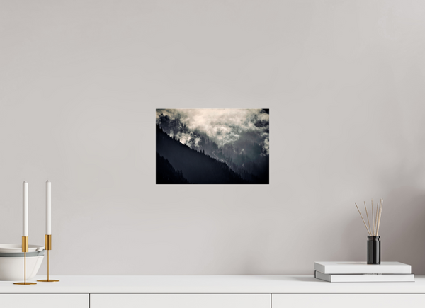 30 x 20 cm, Photo Print Under Acrylic Glass Klosters Forest #2