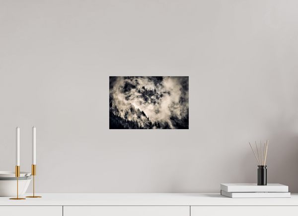 30 x 20 cm, Photo Print Under Acrylic Glass Klosters Forest #1