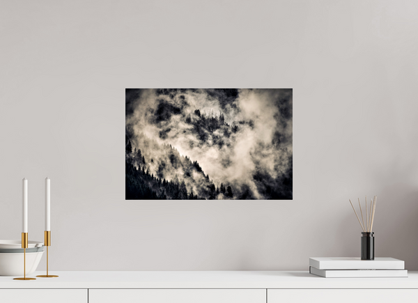 45 x 30 cm, Photo Print Under Acrylic Glass Klosters Forest #1