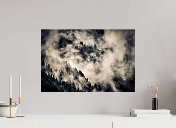 60 x 40 cm, Photo Print Under Acrylic Glass Klosters Forest #1